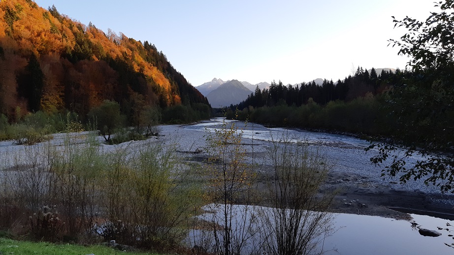 Obermaiselstein 2019 (4)
